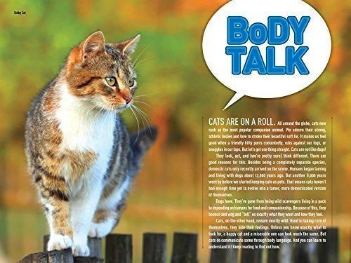 Cómo Hablar Gato Una Guía Para Decodificar El Lenguaje