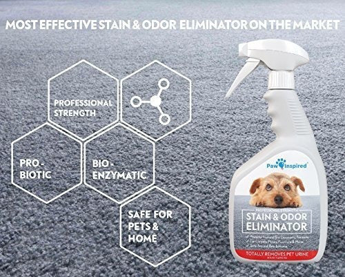 Limpiador enzimático para perros