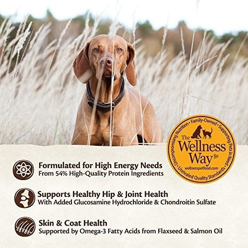 Alimento Seco Para Perros De Grano Natural