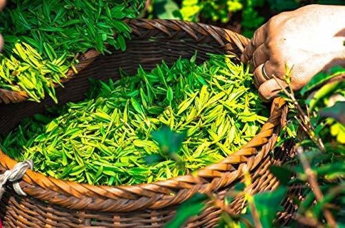 Amenidades Ecológicas Tamaño Del Viaje 1.1oz Gel De Baño