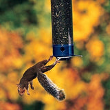 Alimentador De Aves A Prueba De Ardillas Droll Yankees,