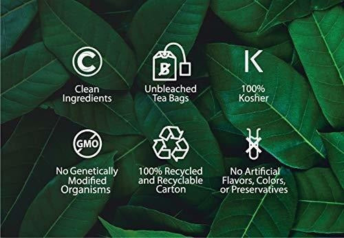 Bolsas de Té Chaga: Poderosos Antioxidantes