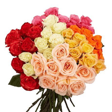 100 tallos de rosas de 4 colores surtidos