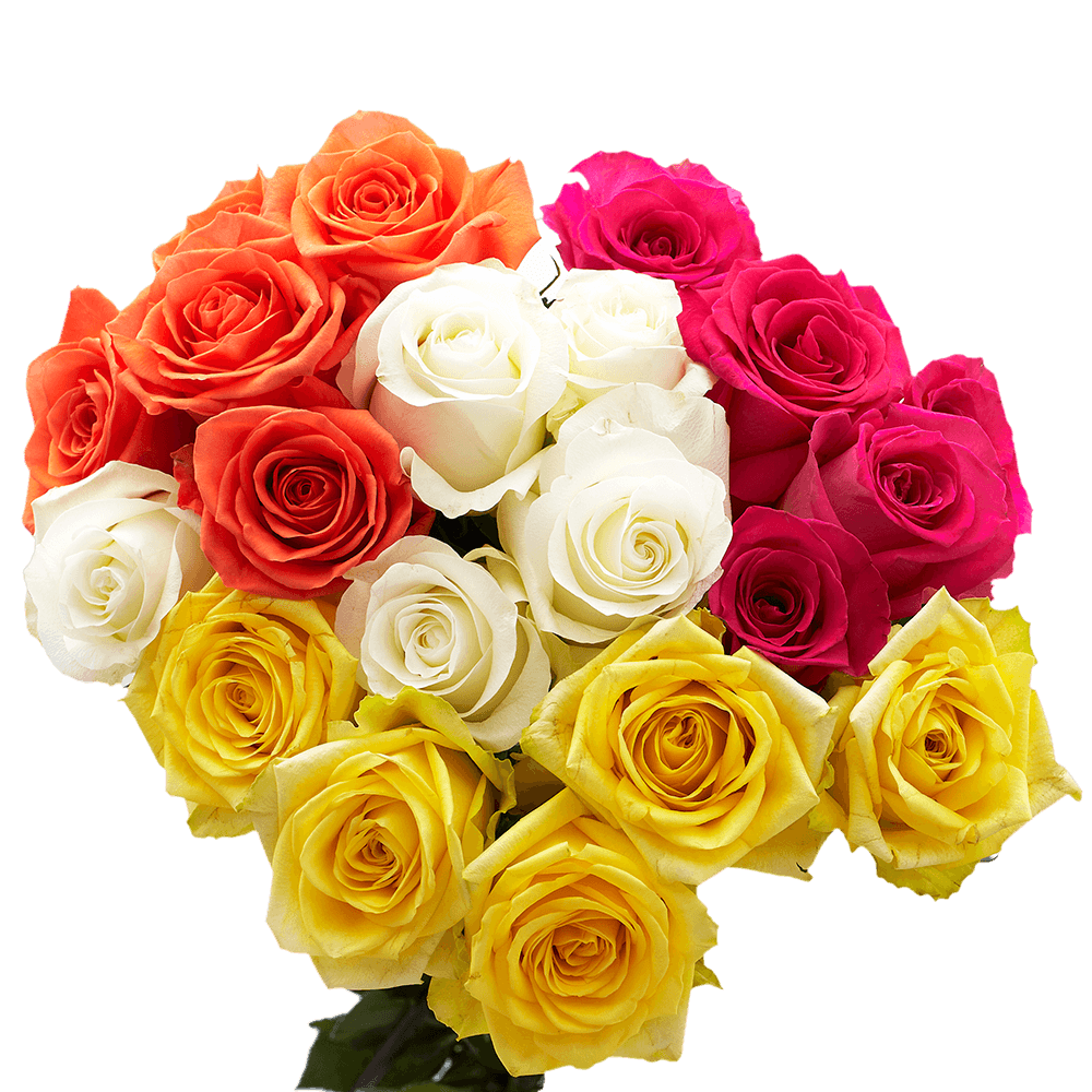 100 tallos de rosas de colores variados