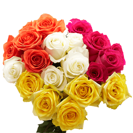 100 tallos de rosas de colores variados