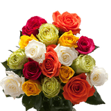 100 tallos de rosas de colores variados