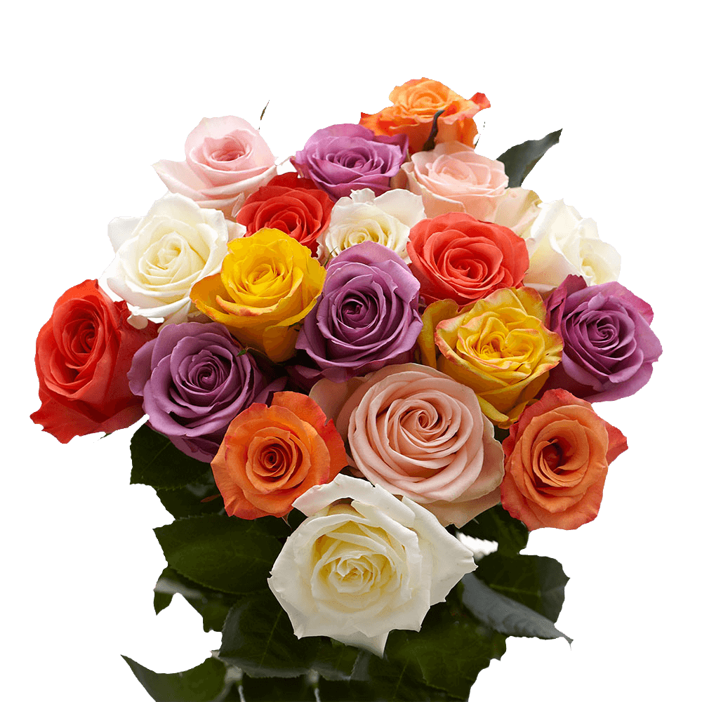 100 tallos de rosas de colores variados