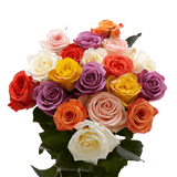 100 tallos de rosas de colores variados